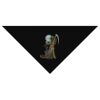 SOL'S Bandana Thumbnail